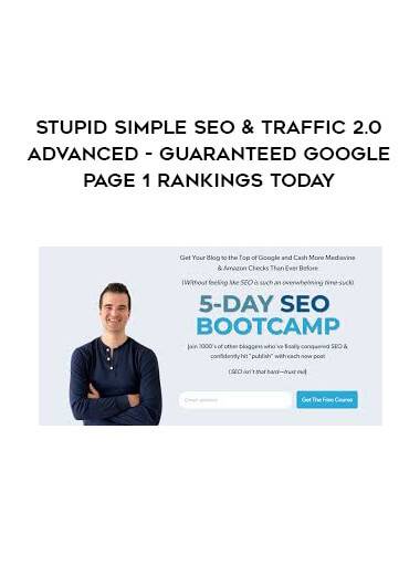 Stupid Simple SEO 2 - Guaranteed Google Page 1 Rankings Today Cheap