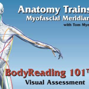 Tom Myers – BodyReading 101