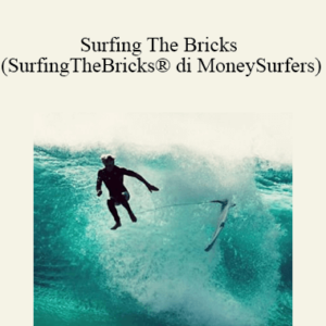 MoneySurfers - Surfing The Bricks Cheap