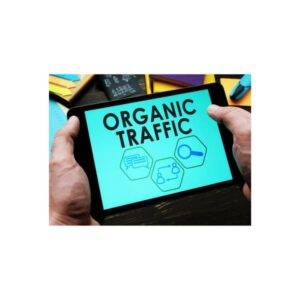 Organic Acceleration - How I turned $20 to 7 figs with Organic Traffic Cheap