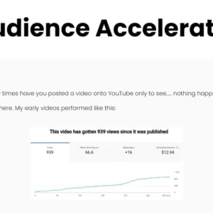 William Lee – Audience Accelerator