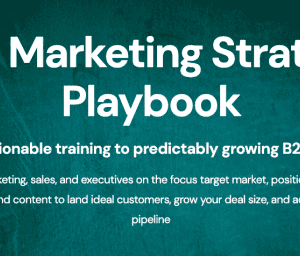 Zinkevich & Blagojevic - B2B Marketing Strategy Playbook Cheap