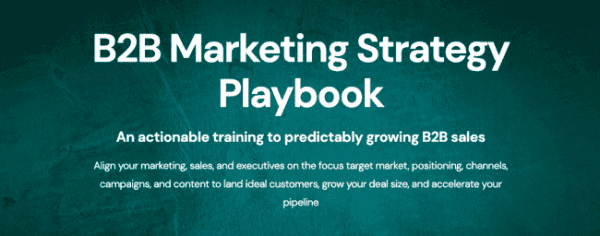 Zinkevich & Blagojevic - B2B Marketing Strategy Playbook Cheap