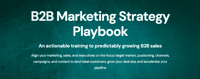 Zinkevich & Blagojevic - B2B Marketing Strategy Playbook Cheap