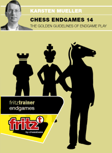 Karsten Muller GM - Chess Endgames 14 - The golden guidelines of endgame play Cheap