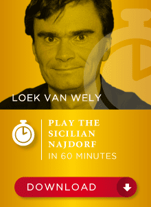 Loek van Wely GM - Play the Sicilian Najdorf in 60 min Cheap