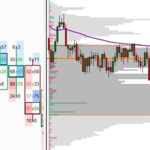 Price Action Volume Trader - Trading with Market and Volume Profile Cheap