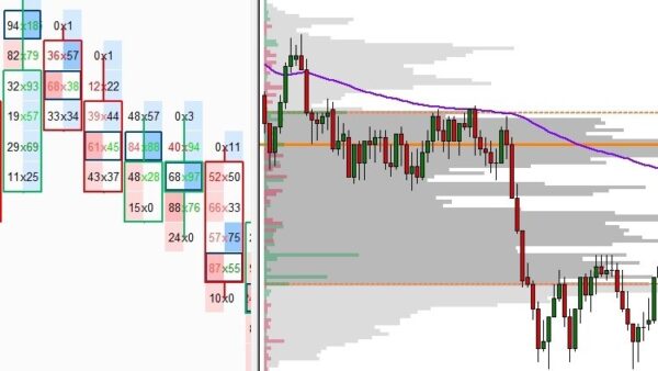 Price Action Volume Trader - Trading with Market and Volume Profile Cheap