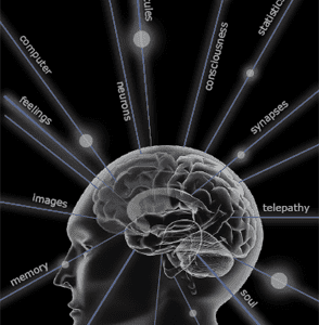 Iris Reading - Mind Mapping Course Cheap