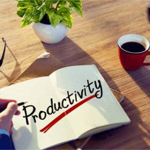 Iris Reading - Productivity Course Cheap