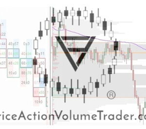 Price Action Volume Trader - Day Trading With Volume Profile & Orderflow Cheap