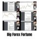 Big Forex Fortune — Index Review 2026