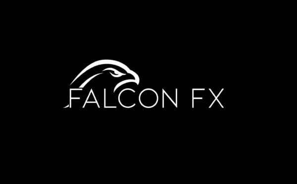 Falcon FX - Falcon Foundation Series Cheap