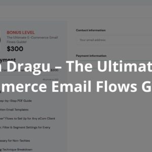 Alin Dragu - The Ultimate E-Commerce Email Flows Guide Cheap