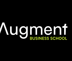 Augment - The Augment MBA Cheap