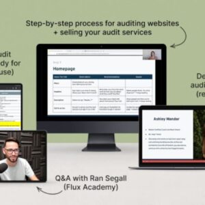 Danbee Shin - Website Audit Masterclass Cheap