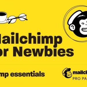 Chimp Essentials - Mailchimp for Newbies Cheap