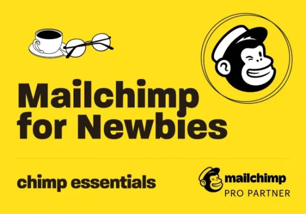 Chimp Essentials - Mailchimp for Newbies Cheap