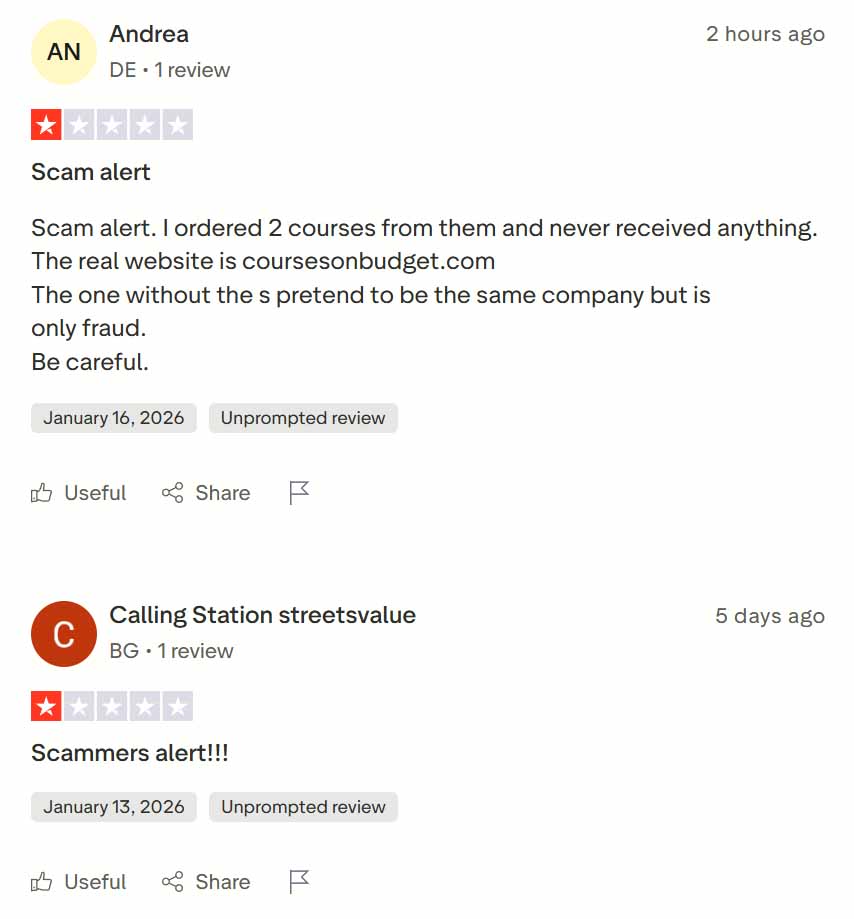 Course on Budget TrustPilot