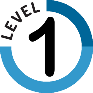 Iris Reading - Productivity Course Level 1 Cheap