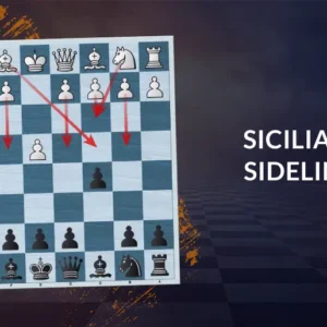 GM Gabuzyan Hovhannes - Counter All the Sicilian's Sidelines Cheap