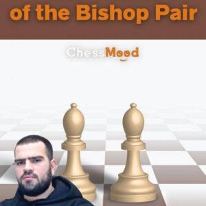 GM Gabuzyan Hovhannes - The Power of Bishop Pair Cheap