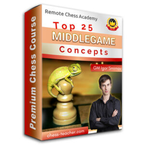 GM Igor Smirnov - Top 25 Middlegame Concepts Cheap