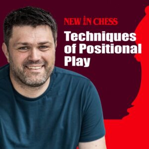 GM Peter Heine Nielsen - Techniques Of Positional Play Cheap