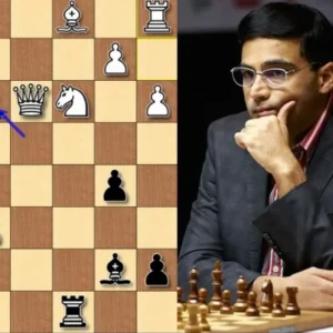 GM Viswanathan Anand - Opening Tips from a World Champion Cheap