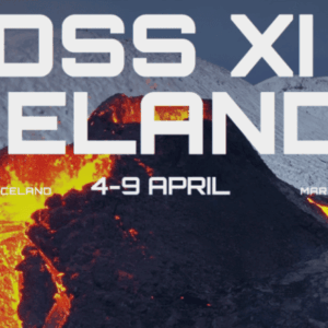 Kevin King - Billion Dollar Seller Summit XI Iceland Cheap