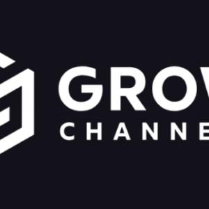 Razvan Paraschiv - Grow Channels Accelerator Cheap