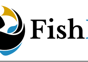 FishFX – The Ultimate Swing Trading Blueprint Cheap