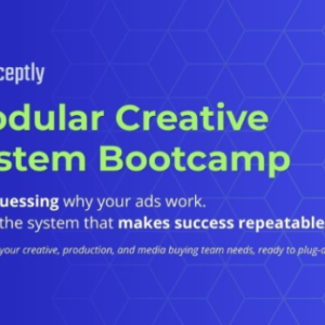 Inceptly - Modular Creative Bootcamp Cheap