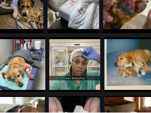 Satish Prajapati - Native Ads Cheap