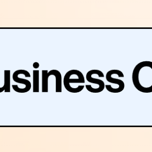 Sophia Amoruso - Business Class Cheap