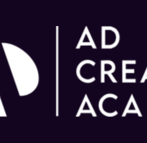 Seth Godin – Ad Creative Academy Cheap