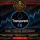 Transparent FX – Forex Trading Mentorship (2026 Trading Course Review)