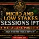 MetaGame Poker Micro and Low Stakes Sessions Course Index Review