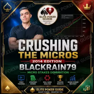 BlackRain79 Crushing The Micros 2014 Edition 6 on Courses On Budget