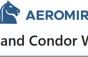 Aeromir – Butterfly and Condor Workshop review 2026 on Courses On Budget