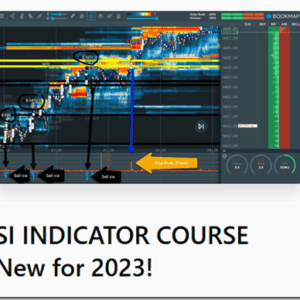 Scott Pulcini – SI Indicator Course 2023 review 2026 on Courses On Budget